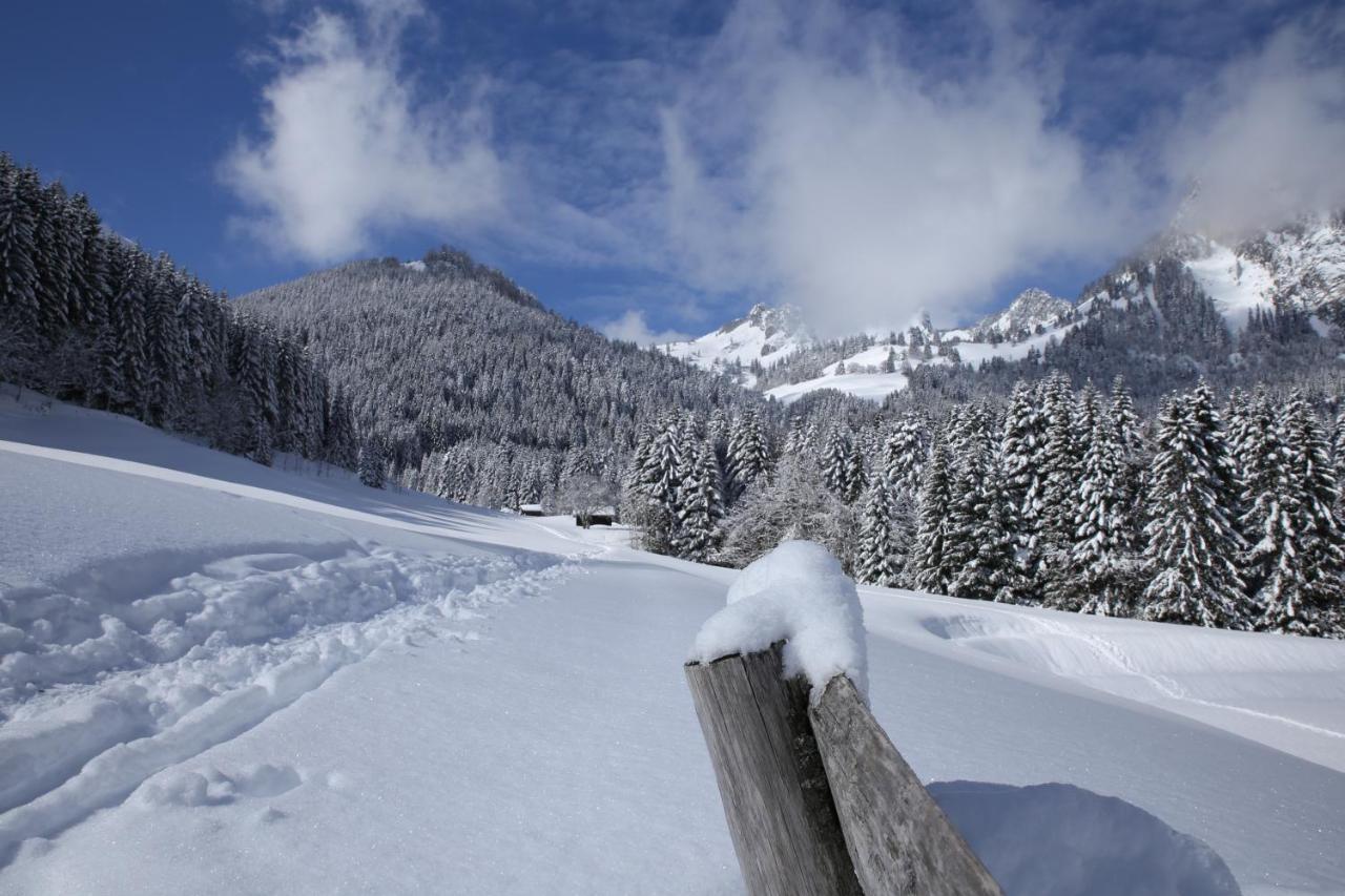 Heerlijke Wandel Of Ski Vakantie In Torgon Portes Du Soleil 외부 사진
