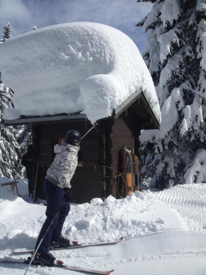 Heerlijke Wandel Of Ski Vakantie In Torgon Portes Du Soleil 외부 사진