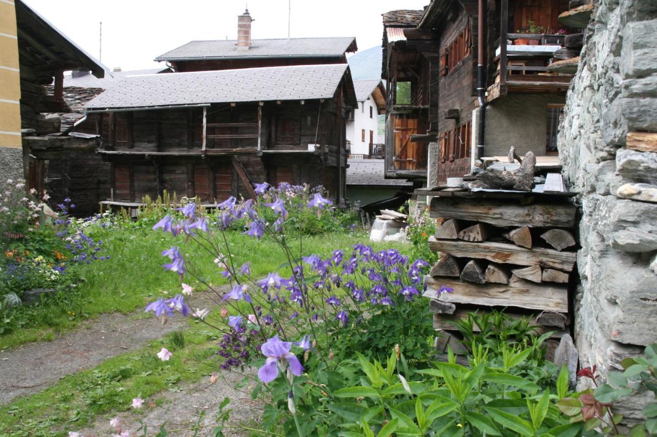 Heerlijke Wandel Of Ski Vakantie In Torgon Portes Du Soleil 외부 사진